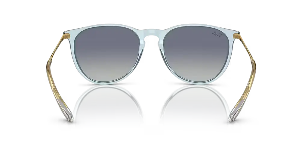 Ray-Ban ERIKA CLASSIC - Jorgensen Powersports