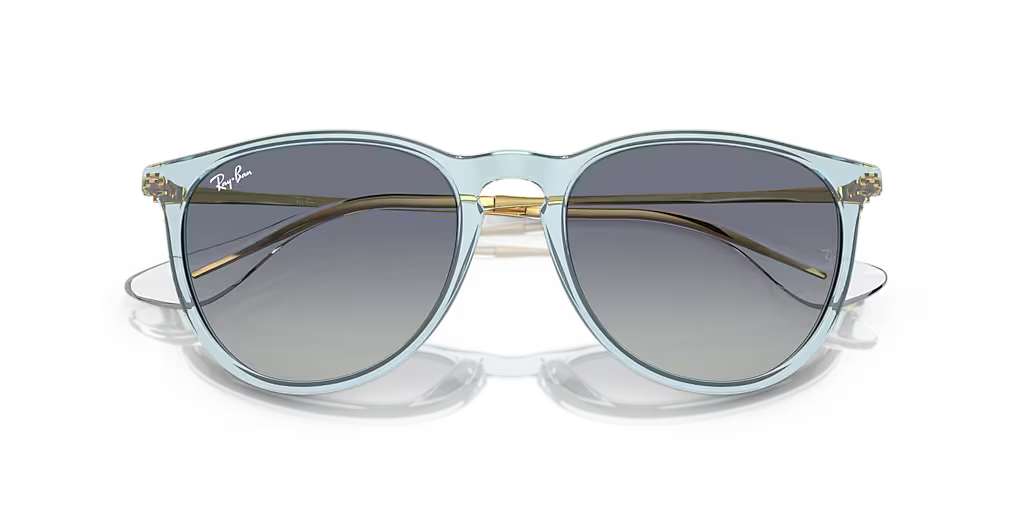 Ray-Ban ERIKA CLASSIC - Jorgensen Powersports