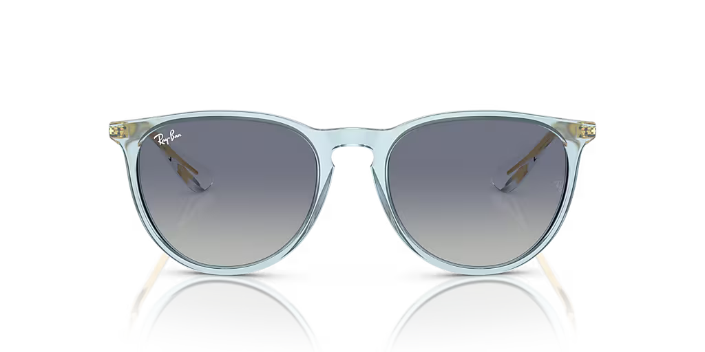 Ray-Ban ERIKA CLASSIC - Jorgensen Powersports
