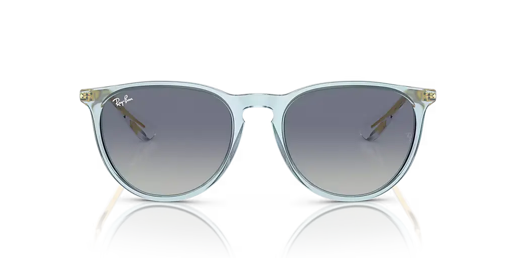 Ray-Ban ERIKA CLASSIC - Jorgensen Powersports