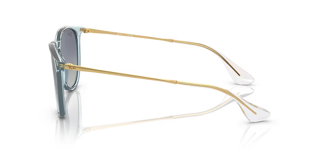 Ray-Ban ERIKA CLASSIC - Jorgensen Powersports