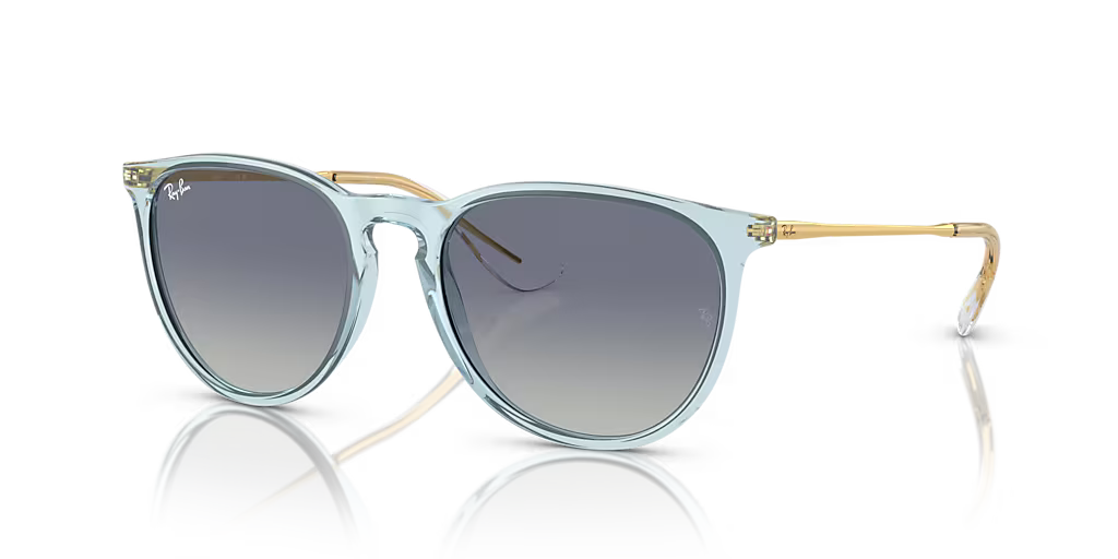 Ray-Ban ERIKA CLASSIC - Jorgensen Powersports