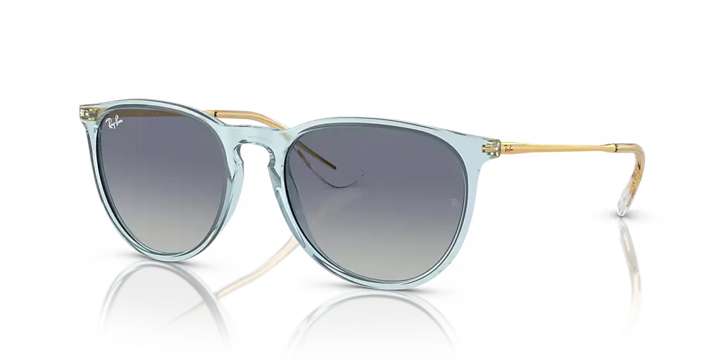 Ray-Ban ERIKA CLASSIC - Jorgensen Powersports