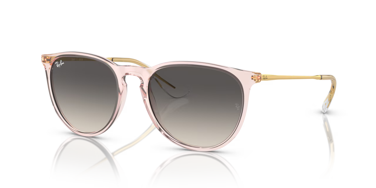 Ray-Ban ERIKA CLASSIC - Jorgensen Powersports