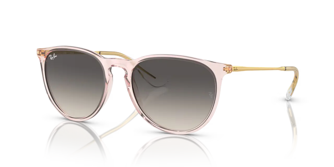 Ray-Ban ERIKA CLASSIC - Jorgensen Powersports