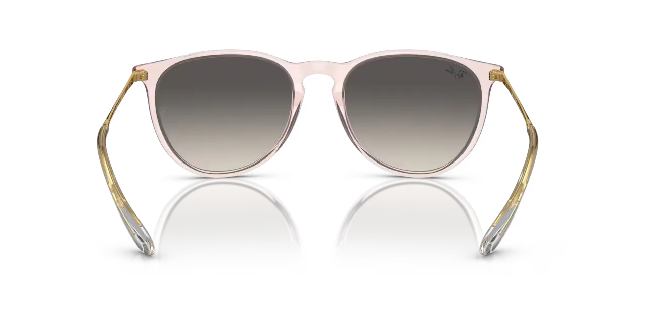 Ray-Ban ERIKA CLASSIC - Jorgensen Powersports