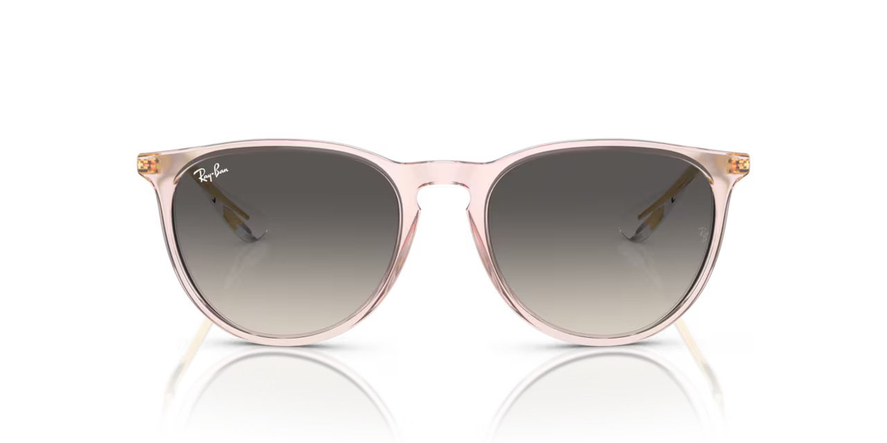 Ray-Ban ERIKA CLASSIC - Jorgensen Powersports