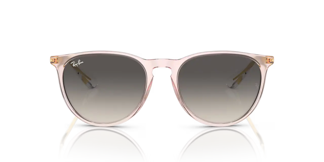 Ray-Ban ERIKA CLASSIC - Jorgensen Powersports