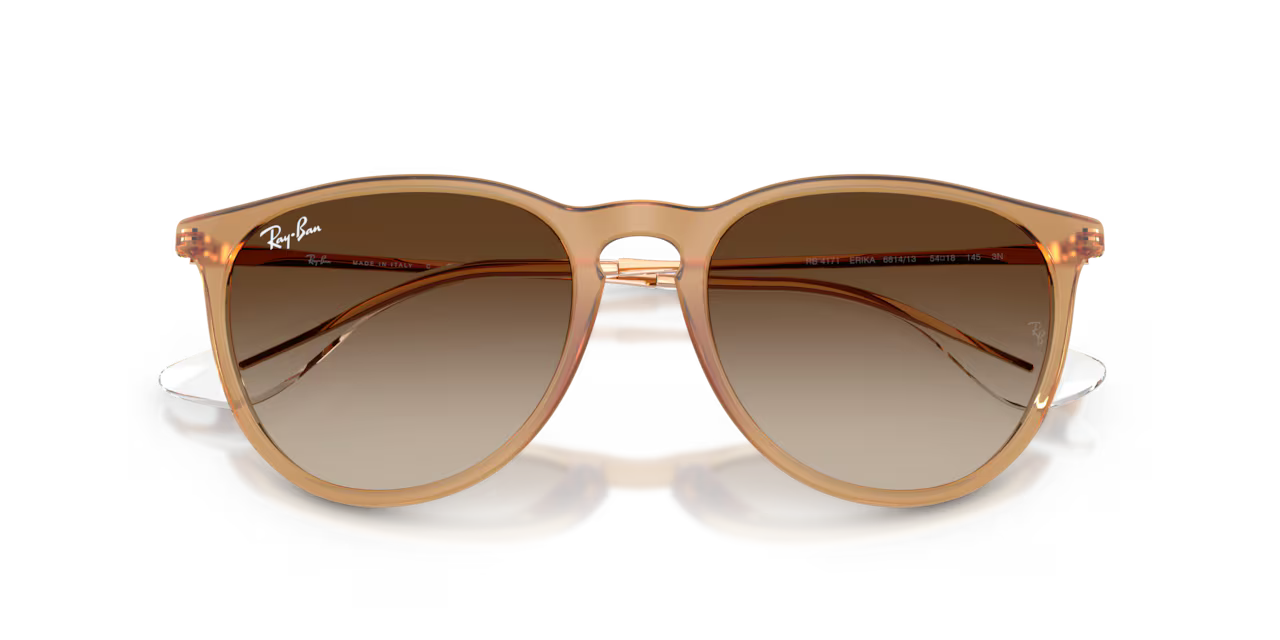Ray-Ban ERIKA CLASSIC - Jorgensen Powersports