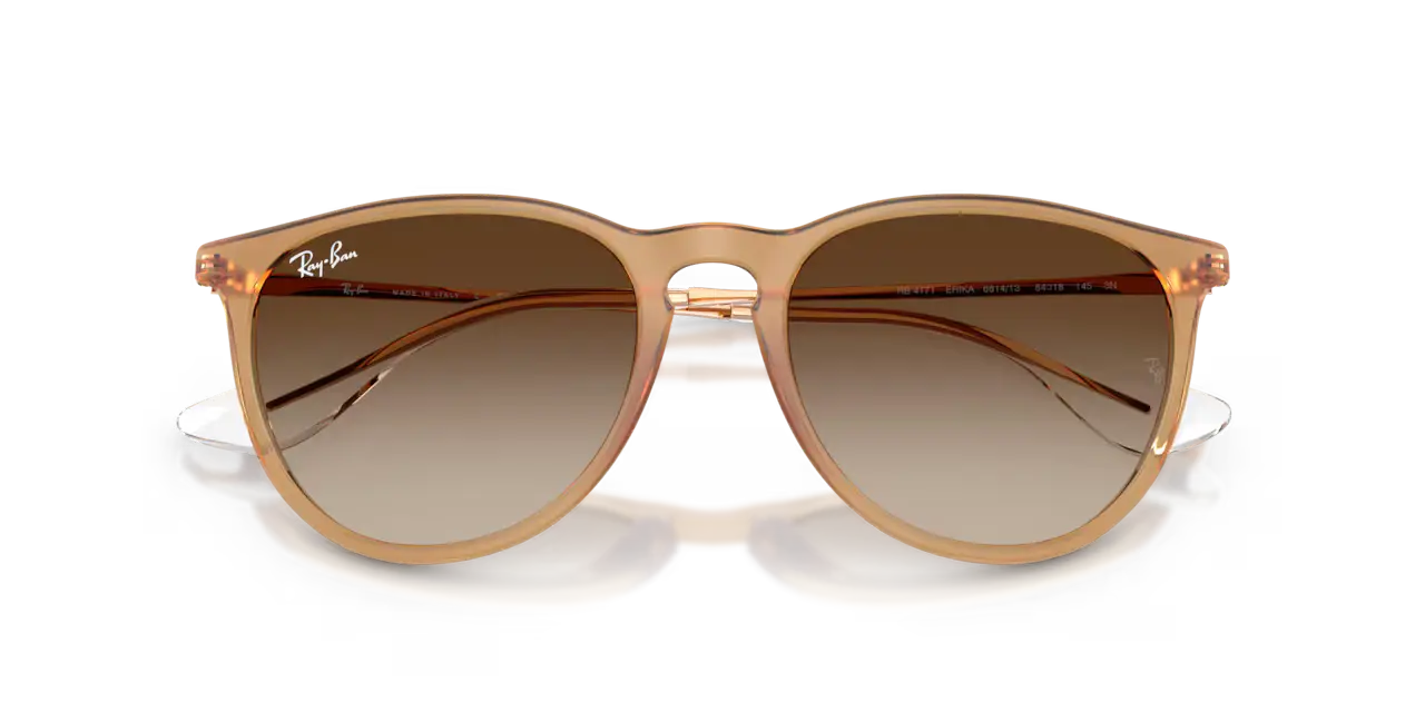 Ray-Ban ERIKA CLASSIC - Jorgensen Powersports