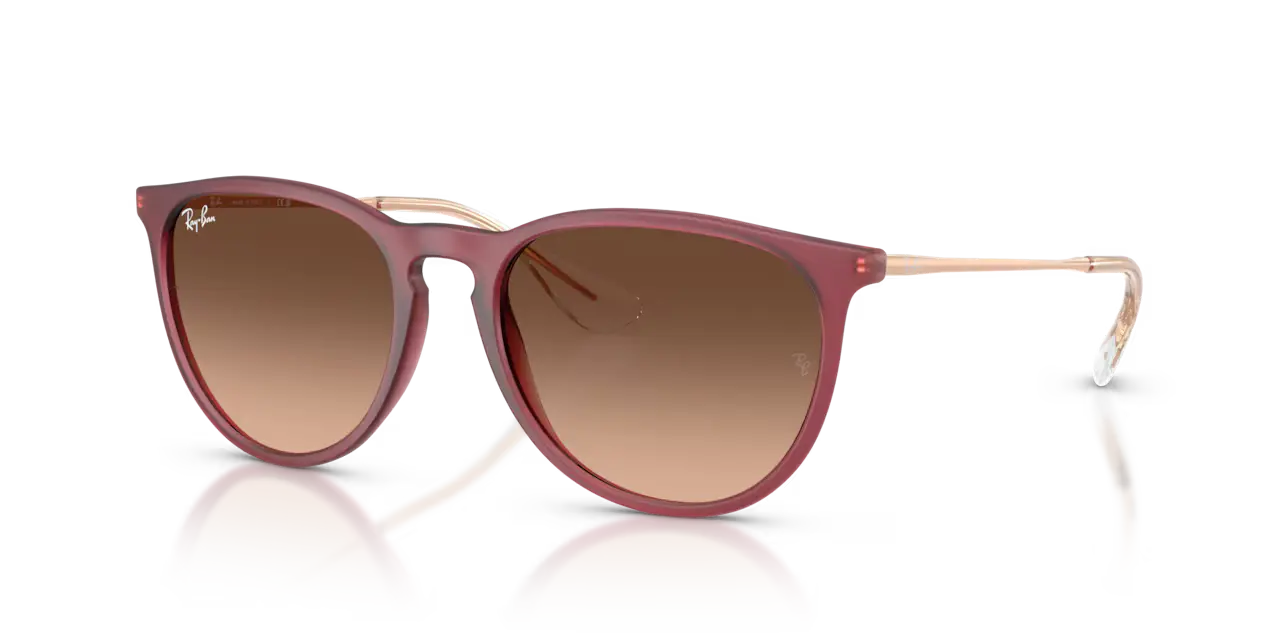 Ray-Ban ERIKA CLASSIC - Jorgensen Powersports