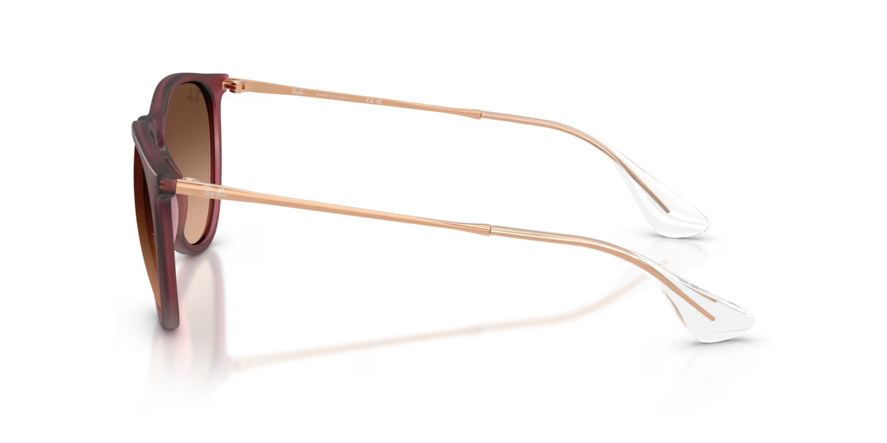 Ray-Ban ERIKA CLASSIC - Jorgensen Powersports