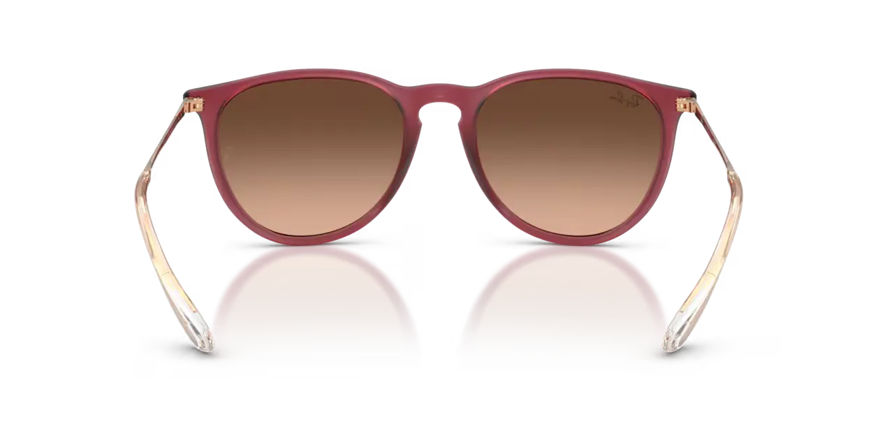 Ray-Ban ERIKA CLASSIC - Jorgensen Powersports