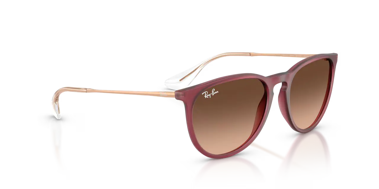 Ray-Ban ERIKA CLASSIC - Jorgensen Powersports