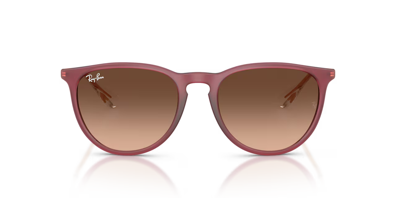 Ray-Ban ERIKA CLASSIC - Jorgensen Powersports