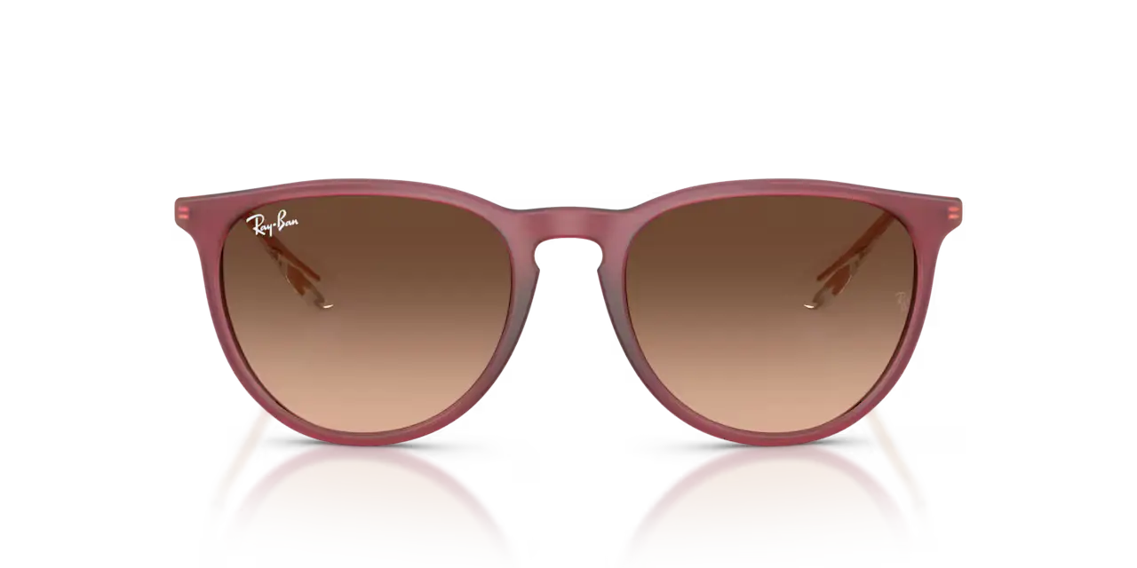 Ray-Ban ERIKA CLASSIC - Jorgensen Powersports