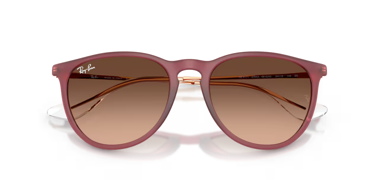 Ray-Ban ERIKA CLASSIC - Jorgensen Powersports