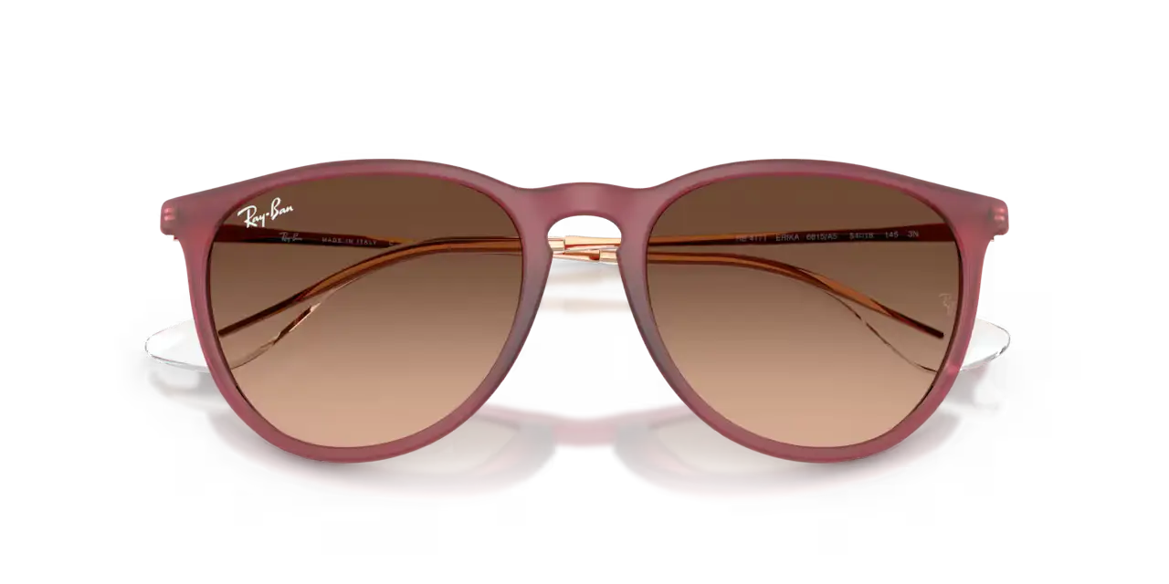 Ray-Ban ERIKA CLASSIC - Jorgensen Powersports
