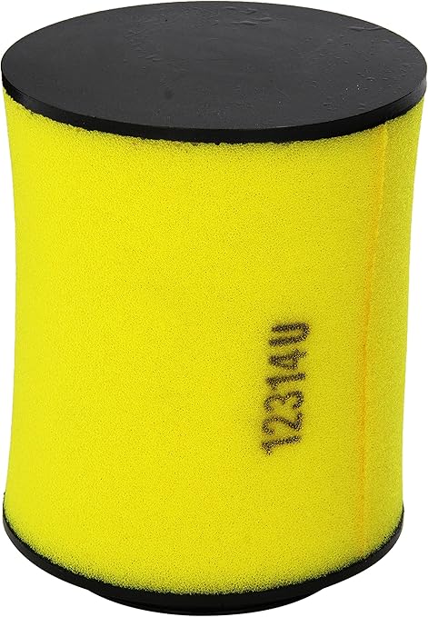 Honda 17254-HP5-600 Air Filter Honda