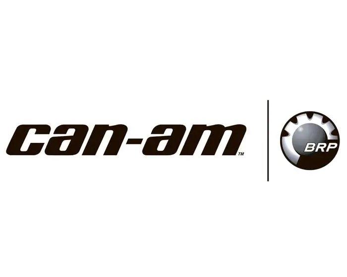 CAN AM Automotive Parts and Accessories Can Am Rear View Mirror and Camera Monitor 715004905 715004905 B081M8QRDP Jorgensen Powersports