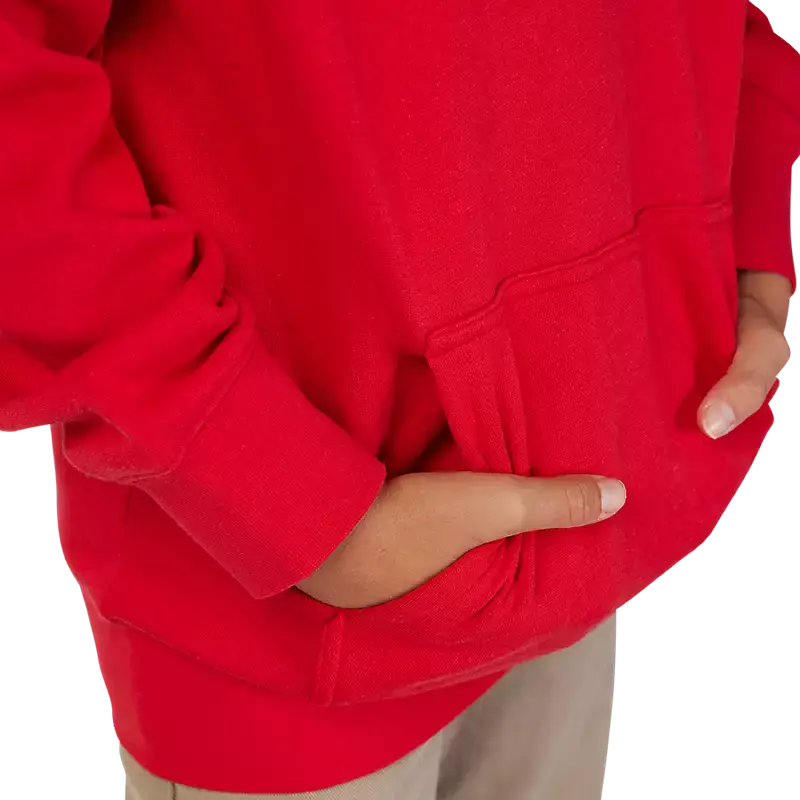 Fox Apparel Fox Absolute Pullover Hoodie Youth Jorgensen Powersports