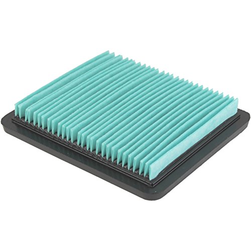 Honda Automotive Parts and Accessories Honda 17211-ZS9-A02 Air Filter Element – OEM Replacement 17211-ZS9-A02 799331666305 Jorgensen Powersports