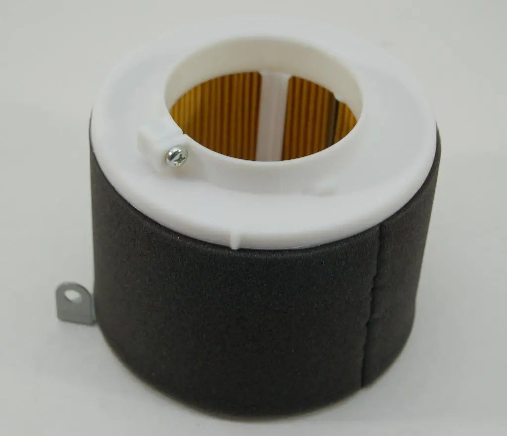 Kawasaki Replacement Air Filter 11029-1004 Kawasaki