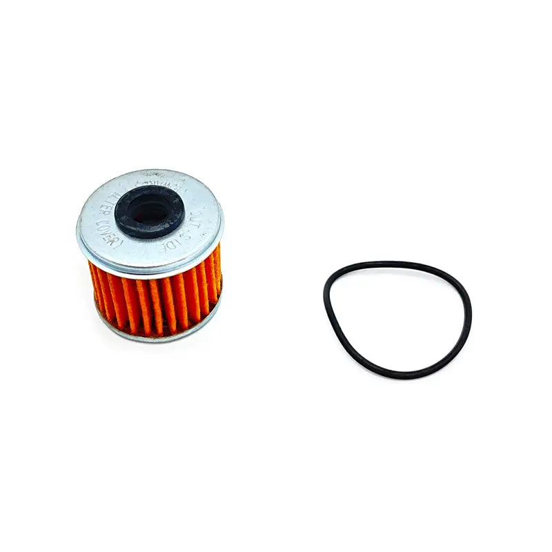 Polaris Automotive Parts and Accessories Polaris Filter with O-Ring Assembly 2521231 2521231 00197915064910 Jorgensen Powersports