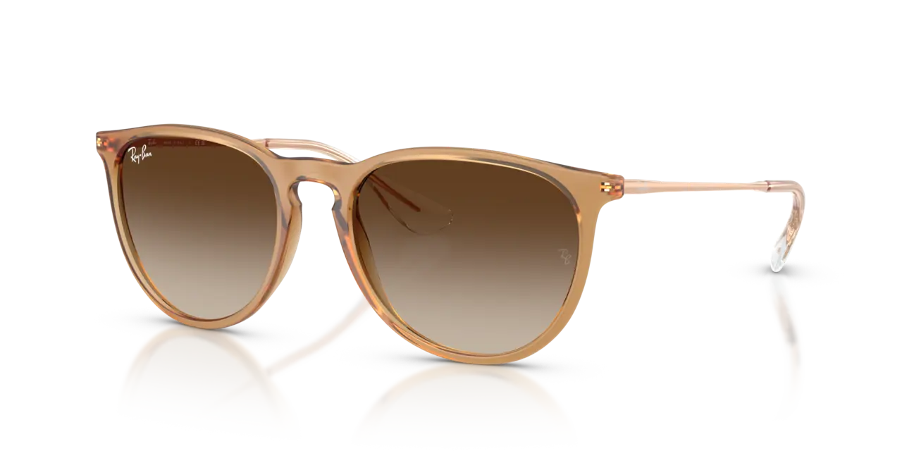 Ray-Ban ERIKA CLASSIC - Jorgensen Powersports
