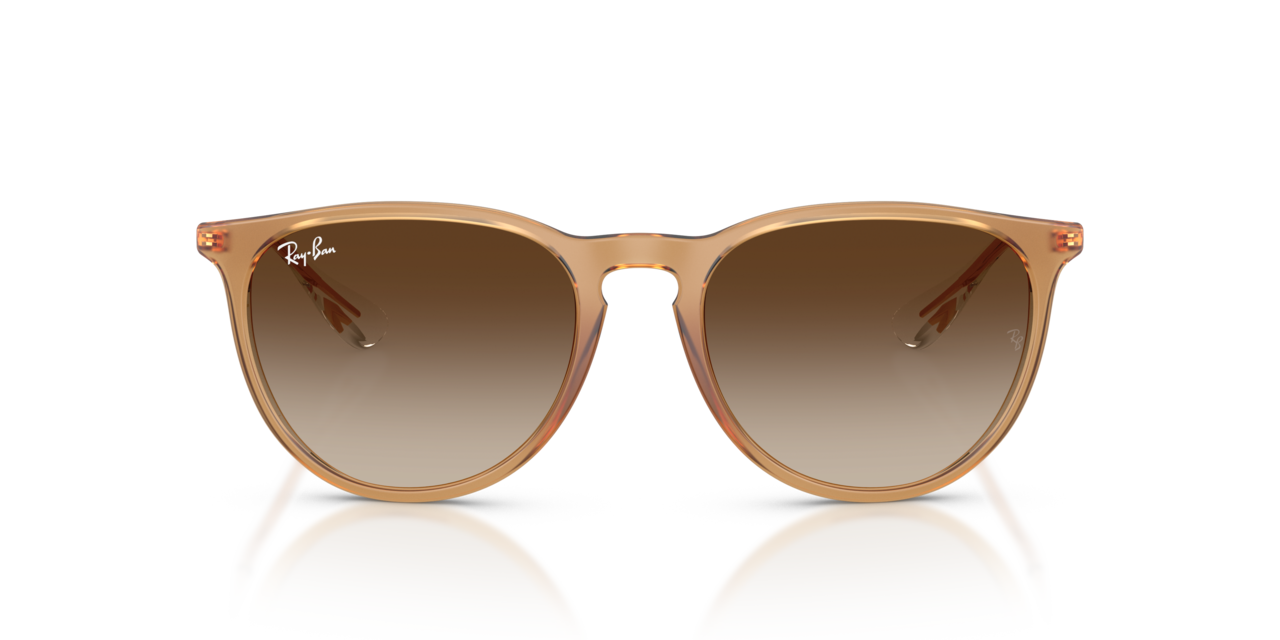Ray-Ban ERIKA CLASSIC - Jorgensen Powersports