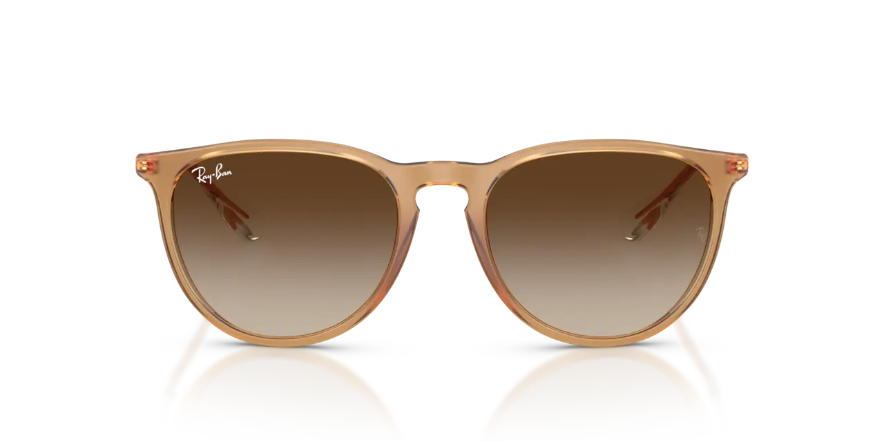 Ray-Ban ERIKA CLASSIC - Jorgensen Powersports