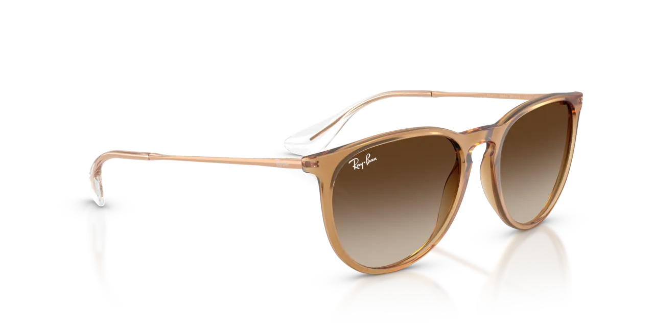Ray-Ban ERIKA CLASSIC - Jorgensen Powersports