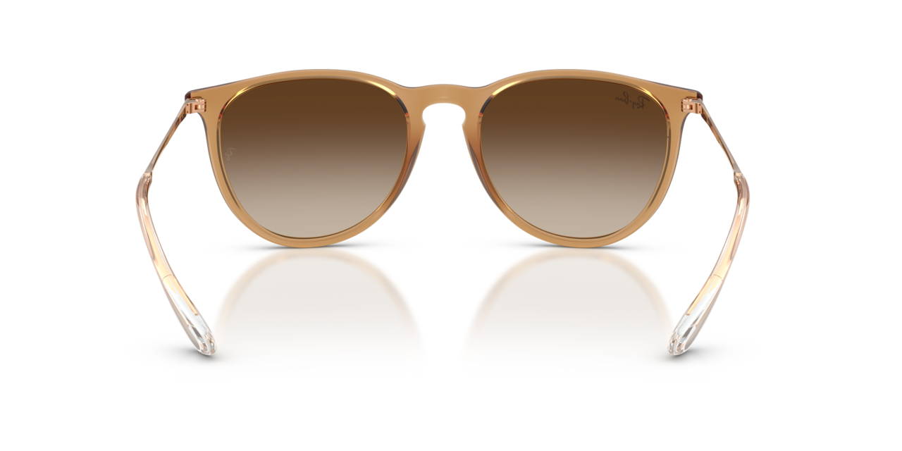 Ray-Ban ERIKA CLASSIC - Jorgensen Powersports