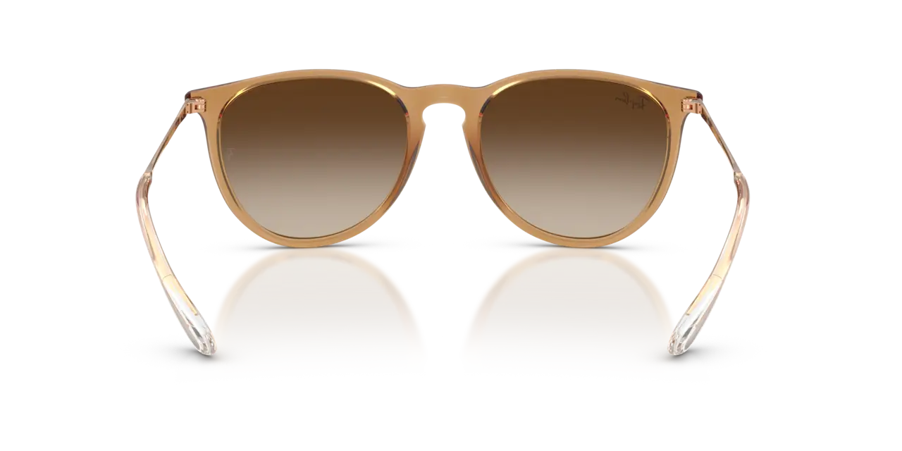 Ray-Ban ERIKA CLASSIC - Jorgensen Powersports