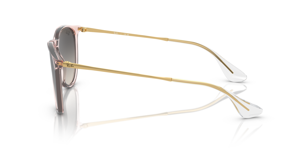 Ray-Ban ERIKA CLASSIC - Jorgensen Powersports