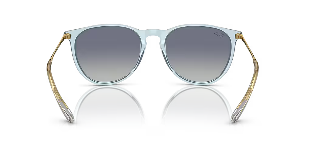 Ray-Ban ERIKA CLASSIC - Jorgensen Powersports