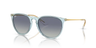 Ray-Ban ERIKA CLASSIC - Jorgensen Powersports