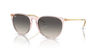 Ray-Ban ERIKA CLASSIC - Jorgensen Powersports