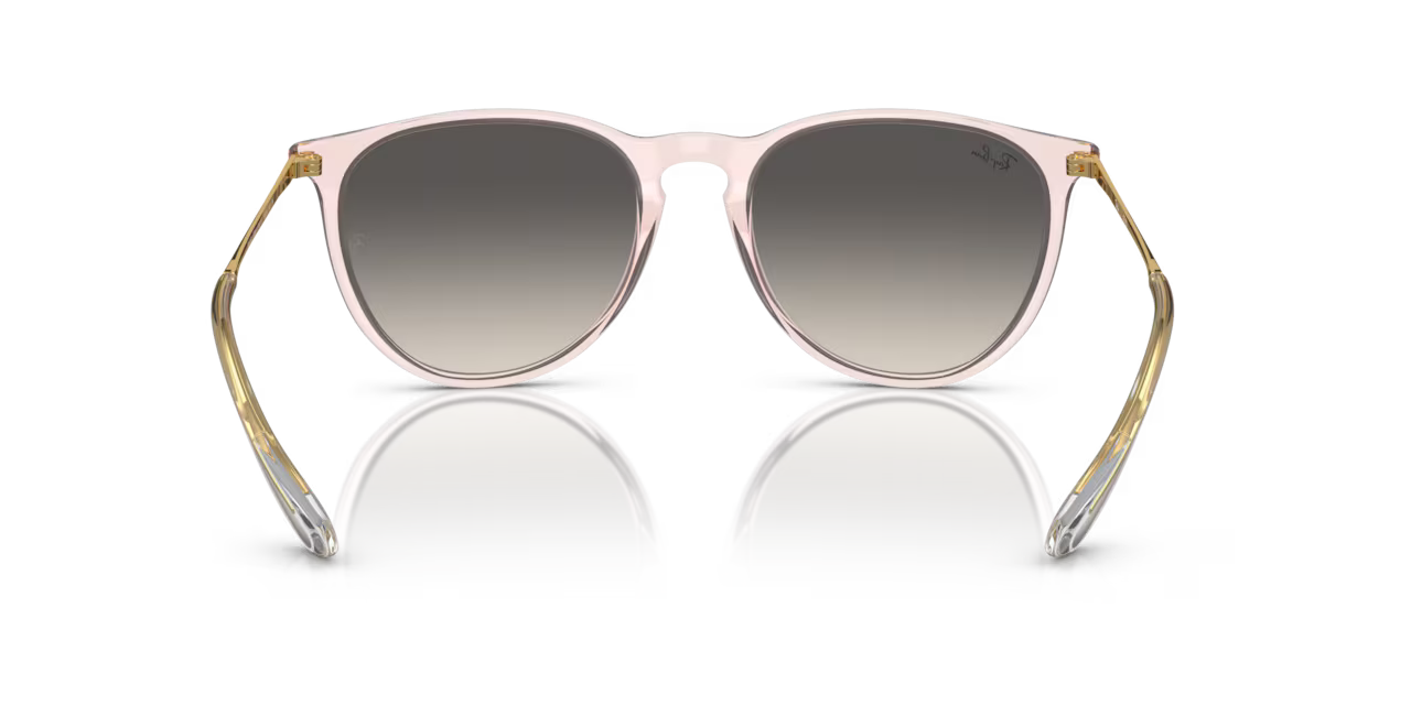 Ray-Ban ERIKA CLASSIC - Jorgensen Powersports