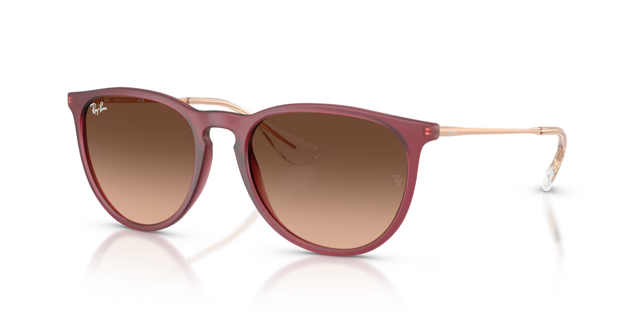 Ray-Ban ERIKA CLASSIC - Jorgensen Powersports