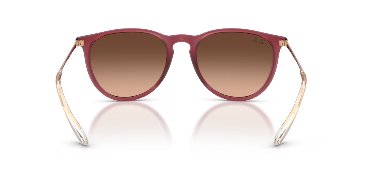 Ray-Ban ERIKA CLASSIC - Jorgensen Powersports