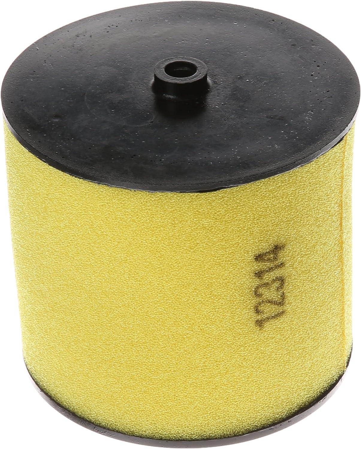 Honda Automotive Parts and Accessories Honda Air Filter 17254-HN5-670 17254-HN5-670 Jorgensen Powersports