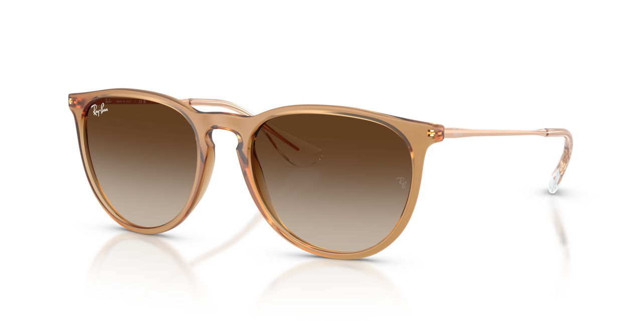 Ray-Ban ERIKA CLASSIC - Jorgensen Powersports