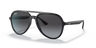 Ray-Ban RB4376 Sunglasses - Jorgensen Powersports
